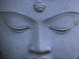 i am observing
